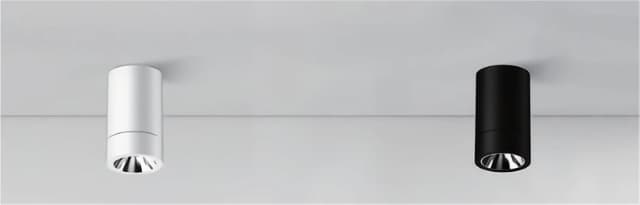 Neptune Series Ceiling Mounted Downlights - 2