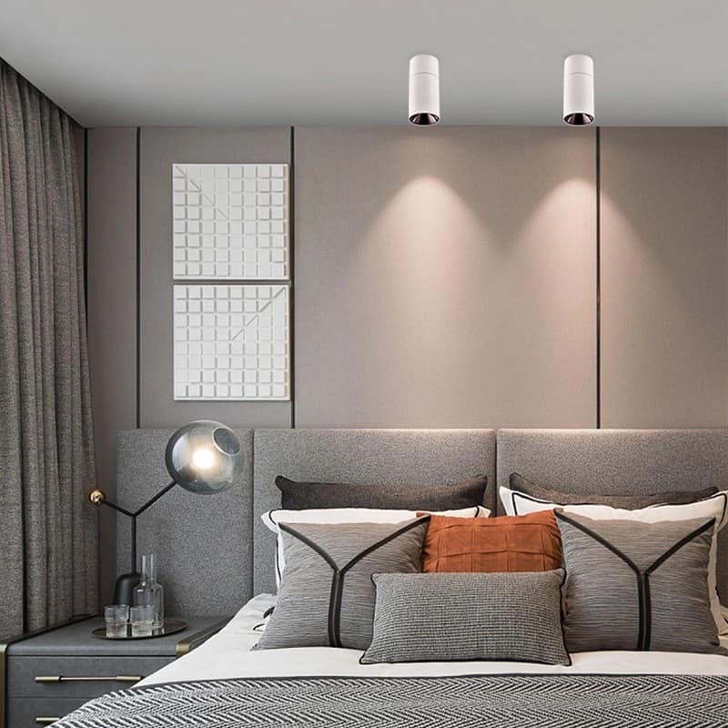 Neptune Series Ceiling Mounted Downlights - 1