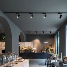 Global Series Track Light - 4