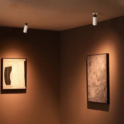 Global series Track Light - 2