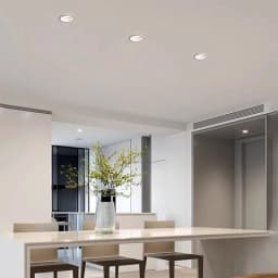 Cayenne Series Waterproof Downlights - 4