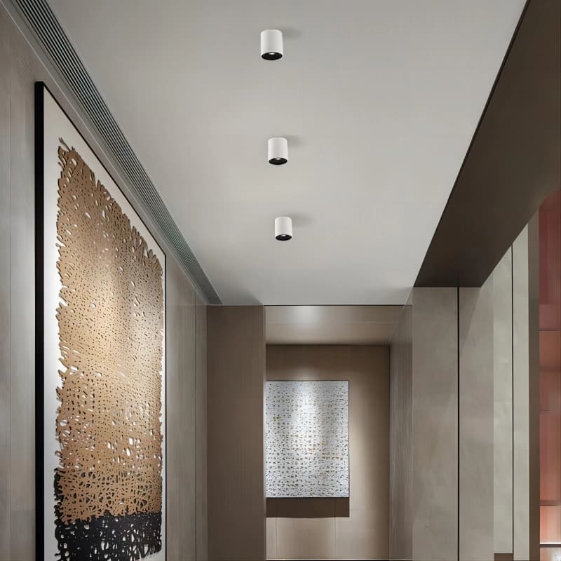 Waterproof Ceiling Mounted Spot Lights - 2