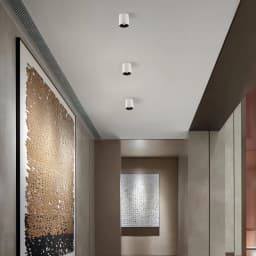 Waterproof Ceiling Mounted Spot Lights - 2