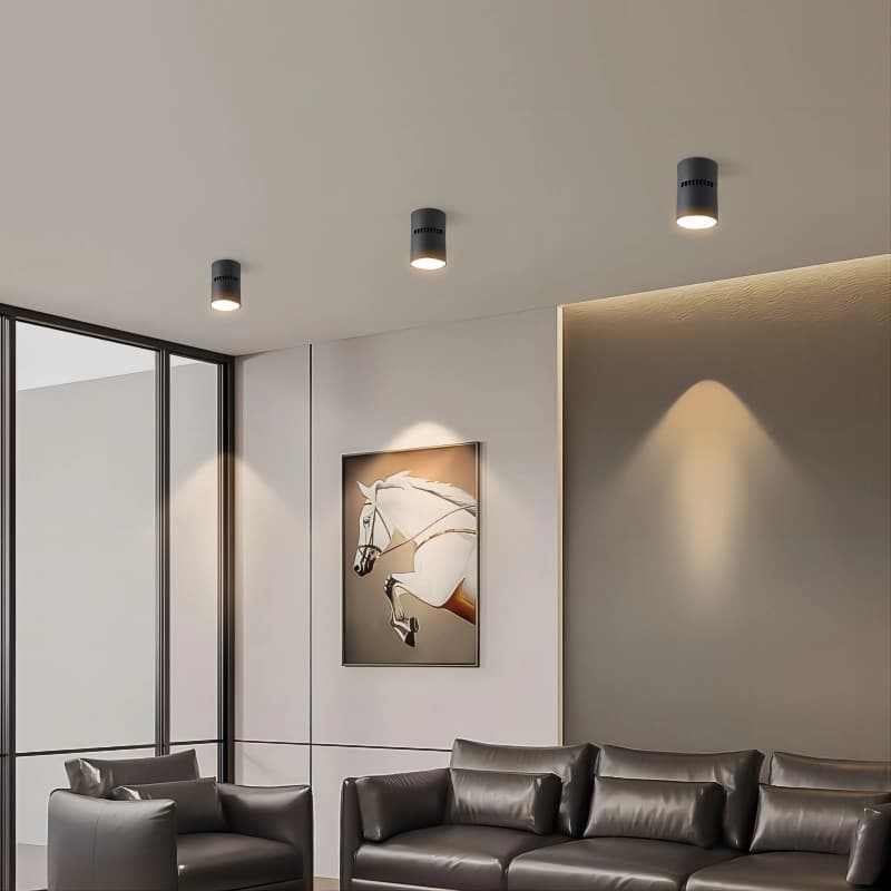 Artemis Series Round Ceiling Mounted Spot Lights - 2