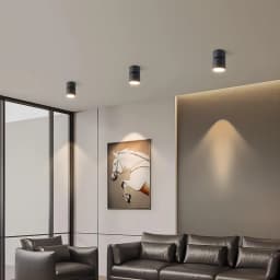 Artemis Series Round Ceiling Mounted Spot Lights - 2