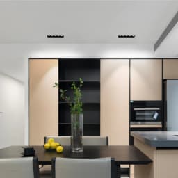 Recessed Linear Spot Lights - 2