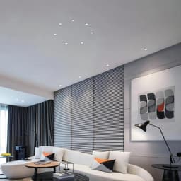 Clemmy Series Mini Trimless Spot Lights - 2