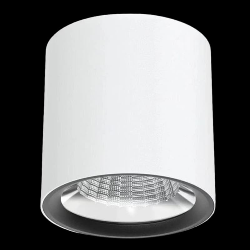 Round Ceiling Mounted Spot Lights