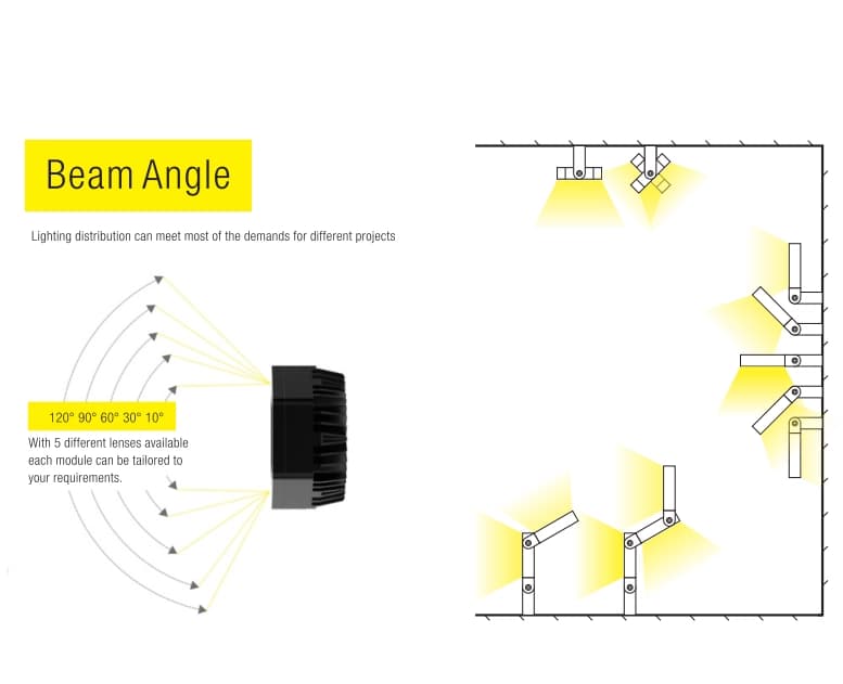 Black Mamba LED Flood Lights - 6